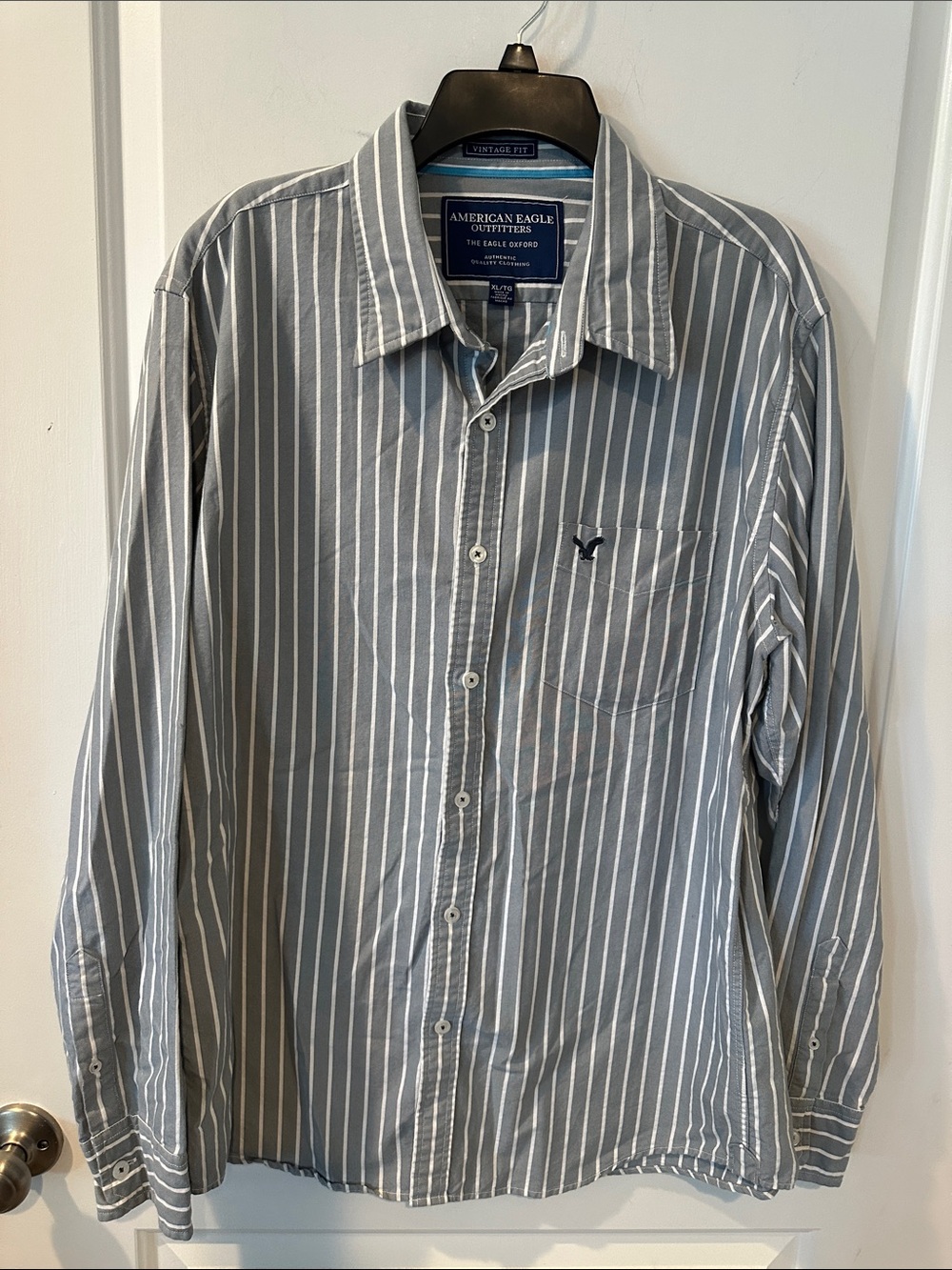 American Eagle Outfitters Blue and White Vertical Stripe Button-Down Shirt